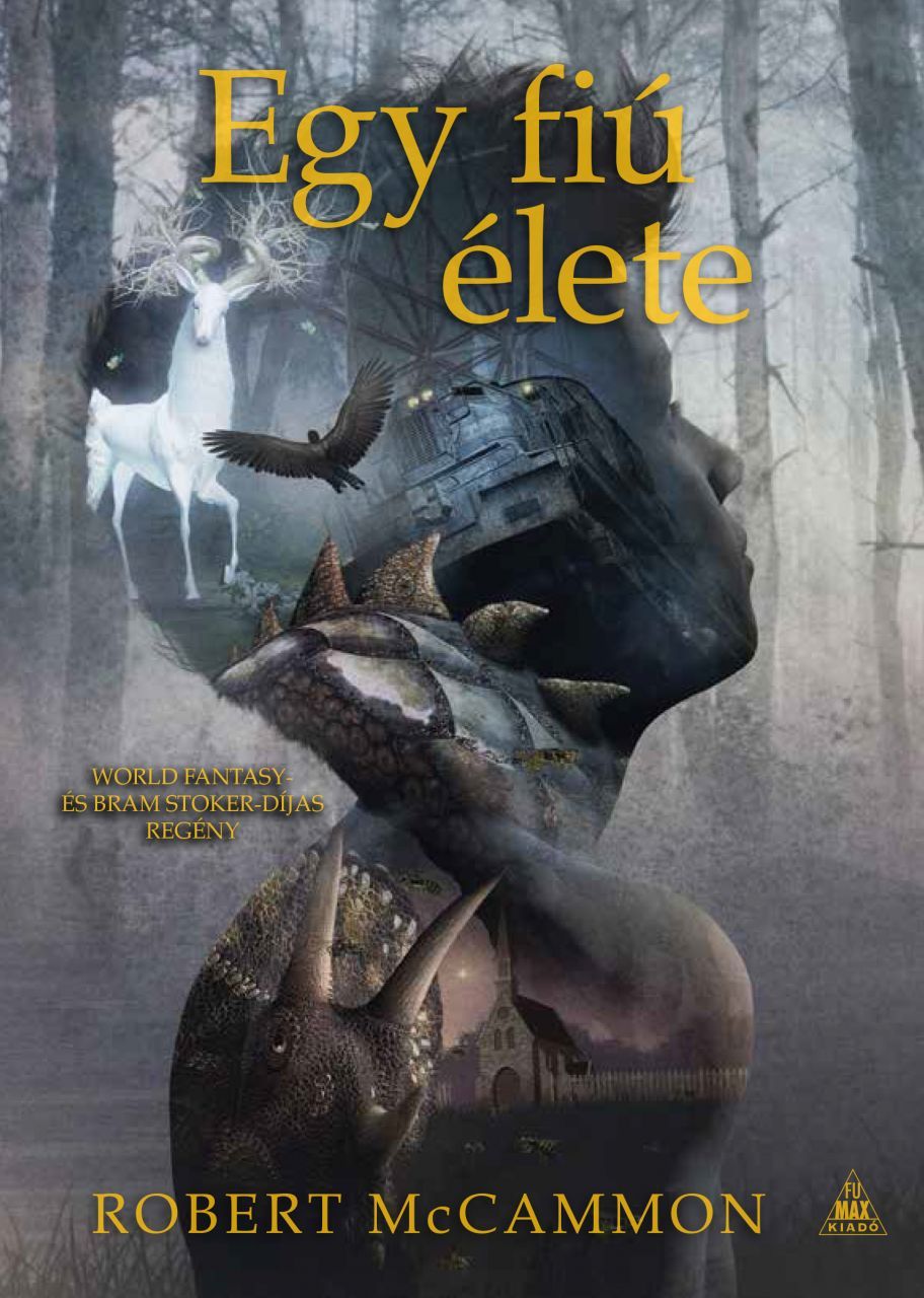SZÉPSÉGHIBÁS PÉLDÁNY Robert McCammon: Egy fiú élete 